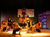 DSC00329