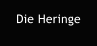 Die Heringe